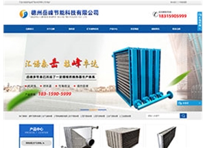 德州岳峰節(jié)能科技有限公司